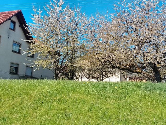 STADTNAH U. PRIVAT WOHNEN MIT RENDITEPOTENTIAL – Foto 1
