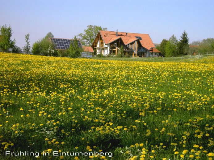 Das besondere Haus, großes Grundstück, Tiehaltung, Pferde Schafe o.ä., dort wo andere Urlaub machen – FRühling vor unserem Haus