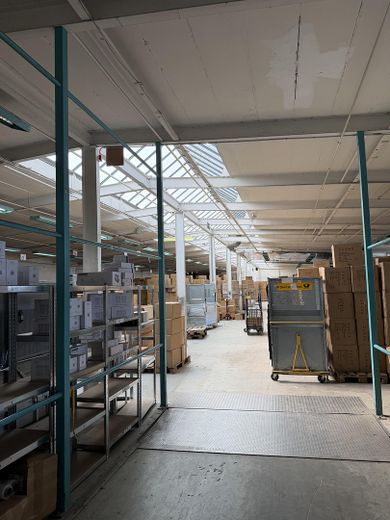 Preisgünstige Industriehalle in Viernheim – kurzfristig verfügbar & ohne Provision – Foto 1