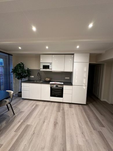Fully furnished 3-room KfW apartment with kitchen & balcony in a prime location in Wiesbaden Mitte – Küche
