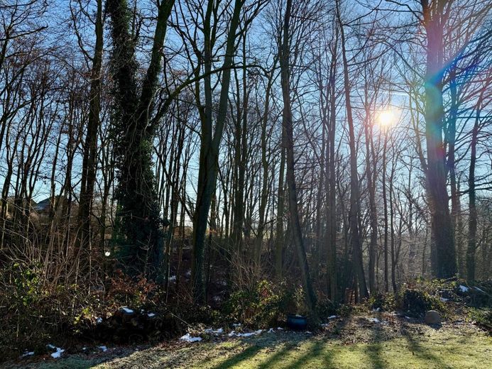 Fröndenberg-Ardey: Freistehendes Wohnhaus mit Gartenoase am Ende einer Sackgasse! – Waldstück als Nachbar