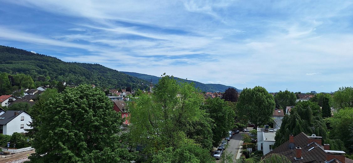 4ZKB Kernsaniert | Klima | Handschuhsheim mit Süd-West-Blick – Blick ins grüne Handschuhsheim