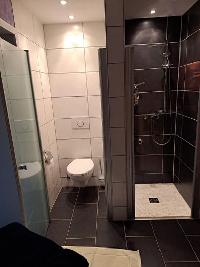 Sauna Dusche und WC
