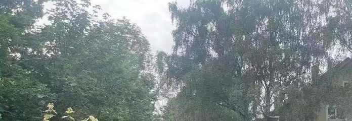 Umgebung