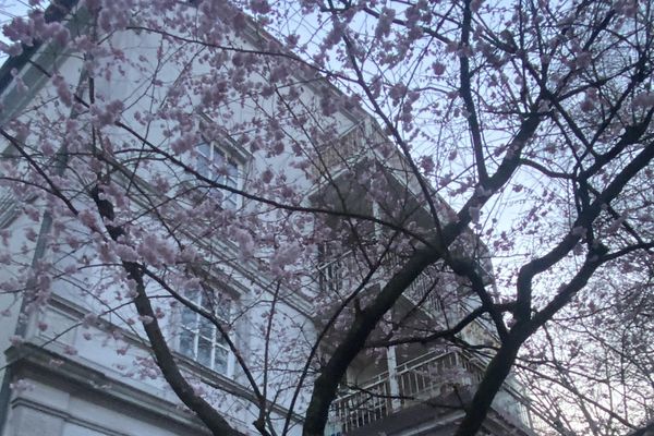 Модернізований будинок старого фонду — зі стелями заввишки 4 метри, прикрашеними ліпниною, у самому серці Аймсбюттеля