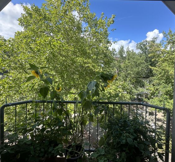 Französischer Balkon