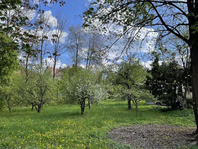 Idyllische Villa/Mehrfamilienhaus in grünem Erholungsort (Harz) - mit Ausbau-/Investmentpotential – Obstgarten hinter Villa