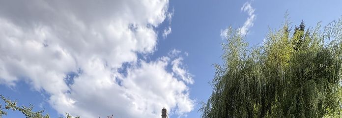 Ideal für Familie, Paare, Altbauwohnung im Nordend – Garten / Südseite