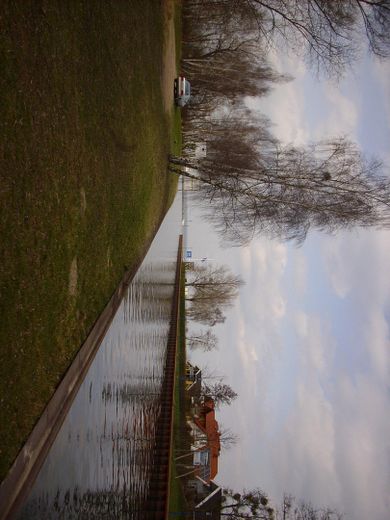 Grundstück an der Müritz – Foto 13