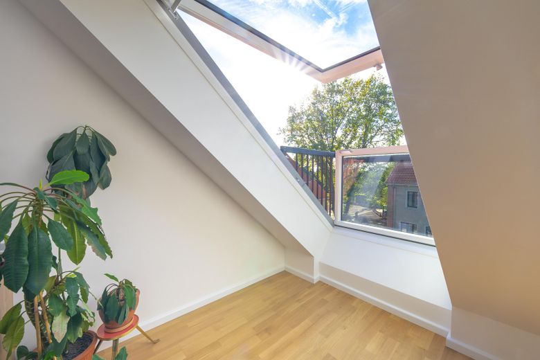 DG cabrio Veluxfenster