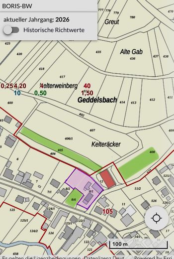 pink: Grundstück grün: Koppeln