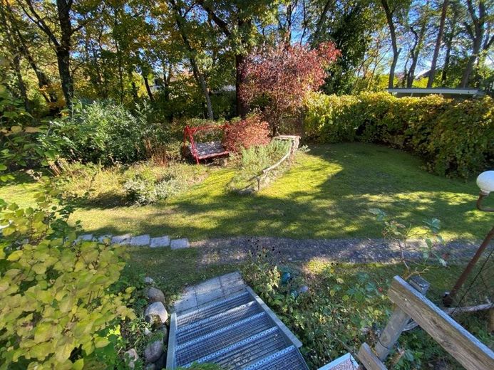 Blick von Terrasse in Garten
