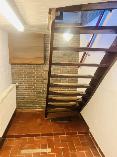 Рядный дом в Köln-Mauenheim – Treppe in den Keller