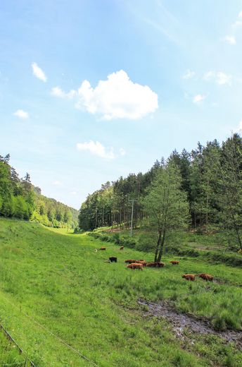 Ländliche Gegend
