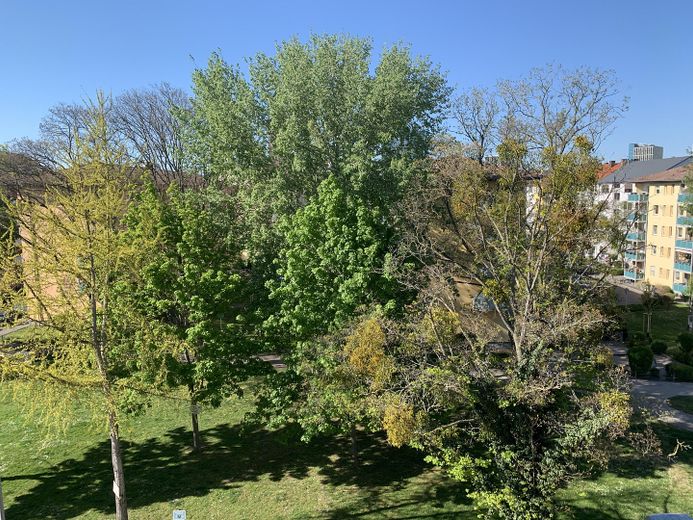 Blick vom Wohnzimmer