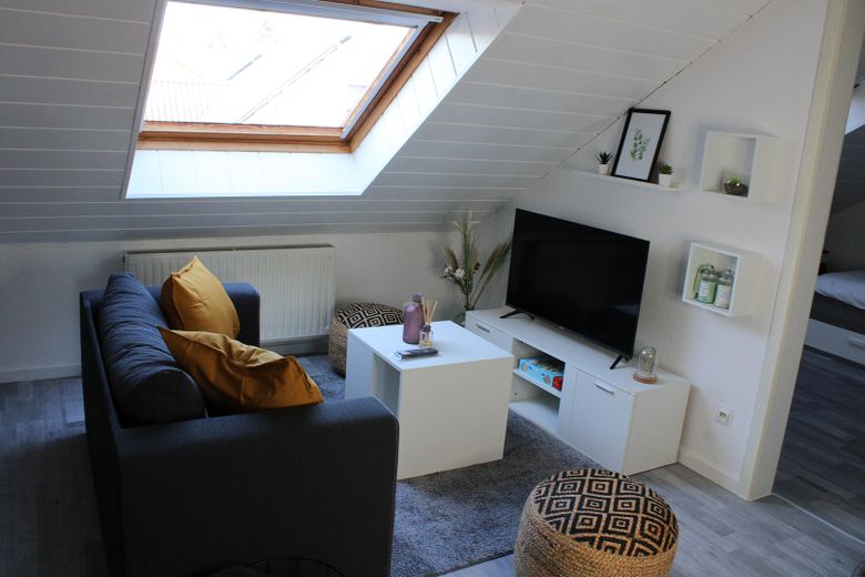 Zentrales schickes möbliertes Apartment – Foto 1