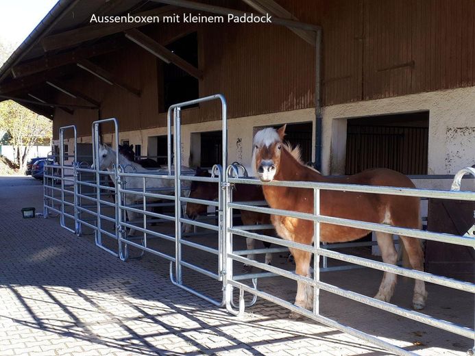 Aussenboxen mit Paddock