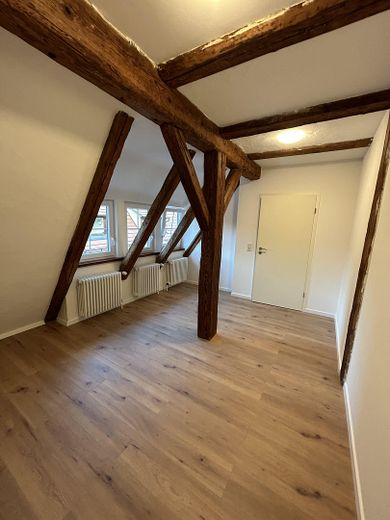 2 renovated income-generating properties as a package (commission-free) – Zimmer Ro