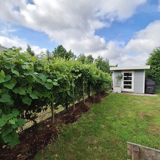 Garten - Blick Seitenterrasse