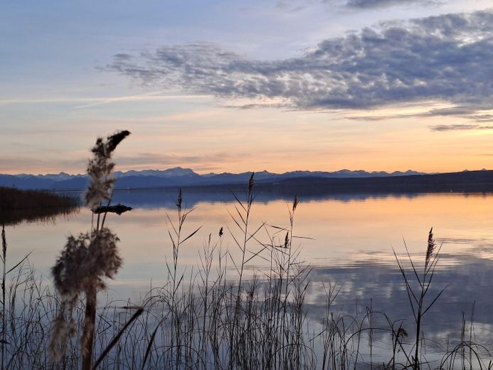 Abendstimmung unten am See