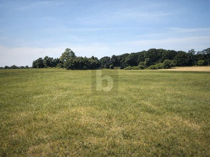 GRÜNLANDFLÄCHE - KAPITALANLAGE MIT PV-POTENTIAL – Foto 1
