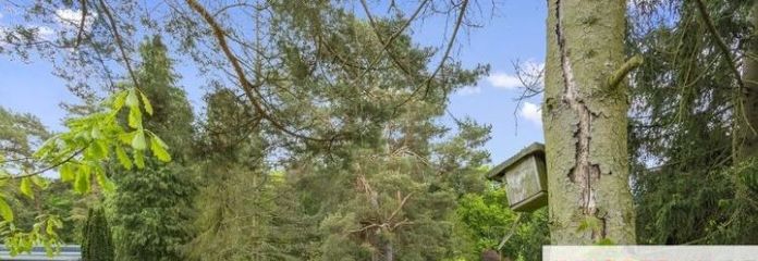 IMMOBERLIN.DE - Naturschönes Baugrundstück in fabelhafter Lage nahe Wandlitzer See