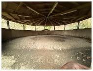 Longierzirkel am Stallgebäude