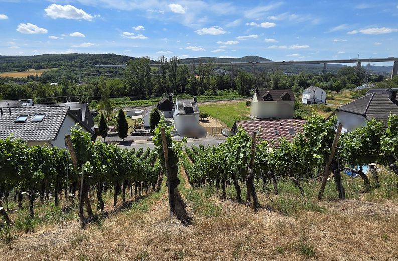 933 m² Baugrundstück - Südlage in 53474 Heppingen – Grundsstück mit Ausblick
