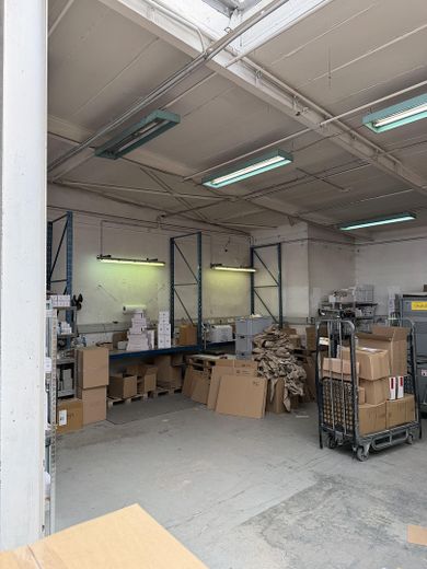 Preisgünstige Industriehalle in Viernheim – kurzfristig verfügbar & ohne Provision – Foto 2
