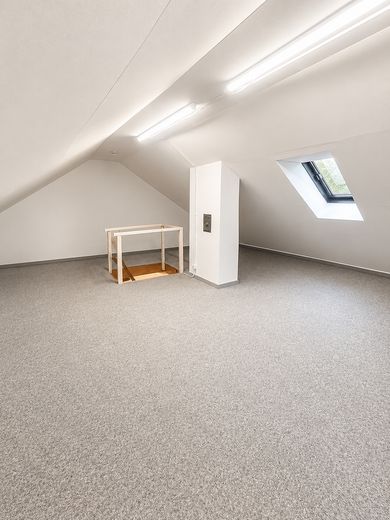 Modernisiertes Familienhaus mit Sonnengarten, Garage & Ausbaureserve – Ausbaureserve Dachgeschoss 