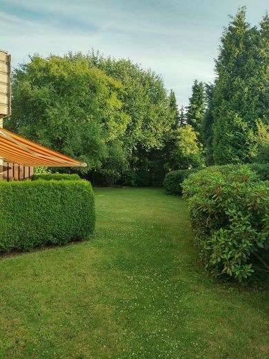 Garten hinter dem Haus