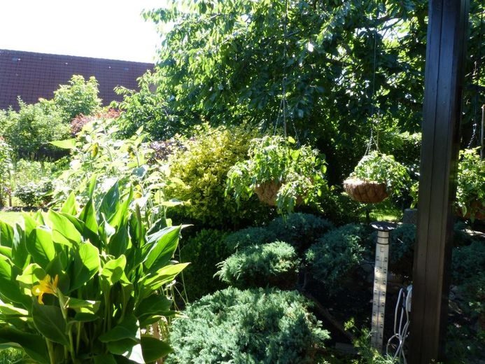 Blick von der Loggia