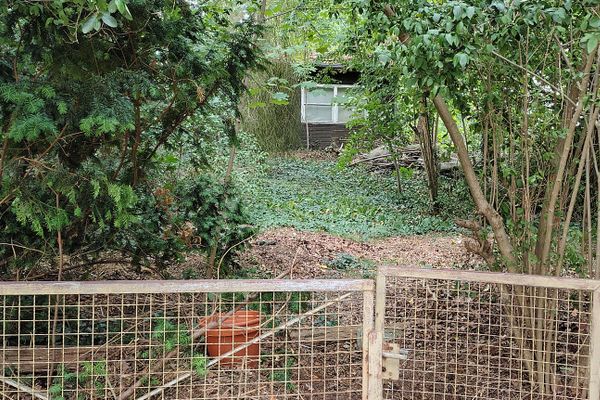 Terreno in posizione privilegiata - Senza provvigione e senza vincoli per imprese di costruzione