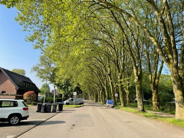 Świetna działka budowlana w spokojnej lokalizacji – Zdjęcie 4
