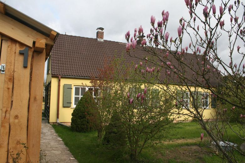 Gartenweg von Garage