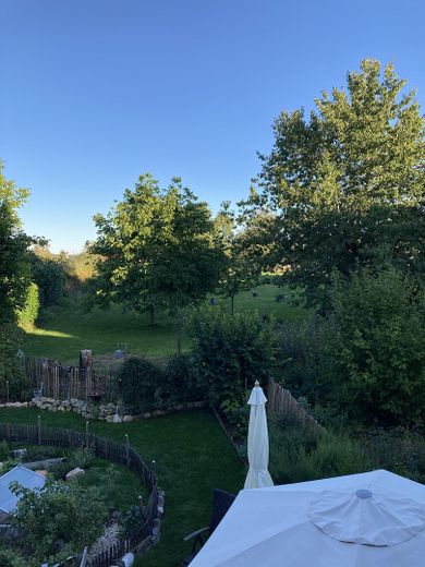 Blick in den Garten