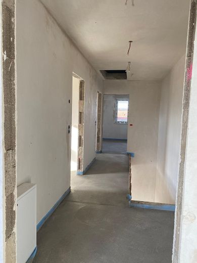 Diele OG Stand 11/2025