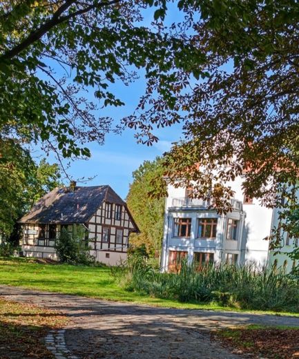 Wohnung im historischen Gutshaus – Ansicht vom Park