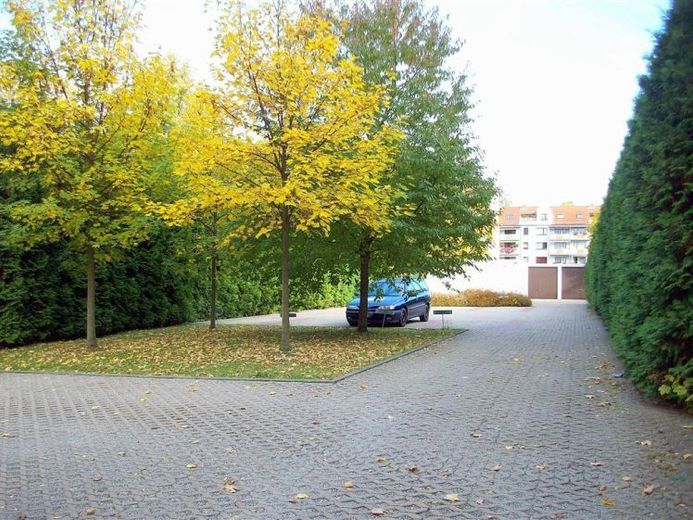 Stellplatz im ruhigen Gablenz – Foto 1