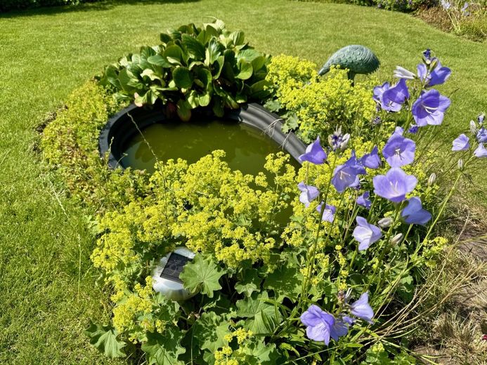 Fröndenberg-Westick: Flachdach-Bungalow mit Gartenoase als perfekter Rückzugsort! – Kleiner Teich Garten