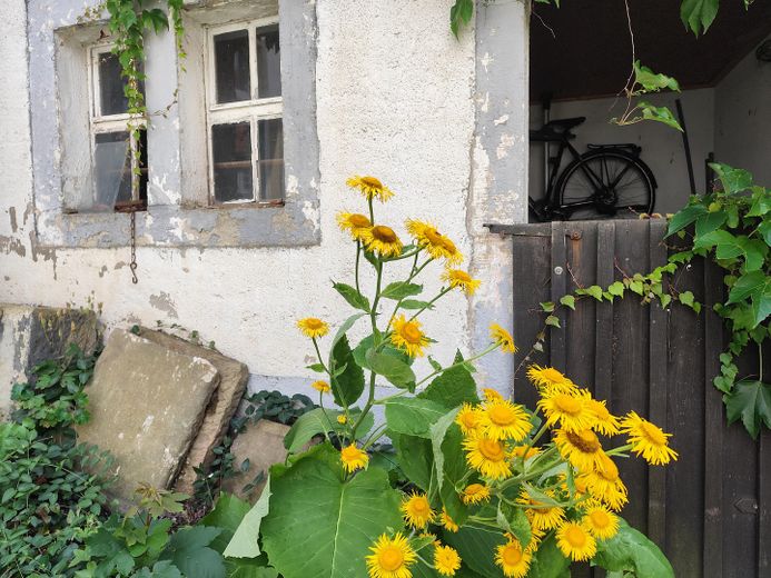 Großzügig wohnen in liebevoll sanierter Scheune – Innenhof