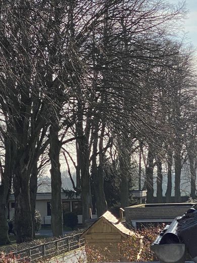 Blick von der Terrasse