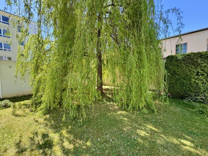 Gemeinschaftsgarten