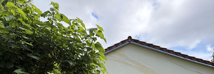 Casa/bungalow con appartamento indipendente – Hausansicht Terrasse