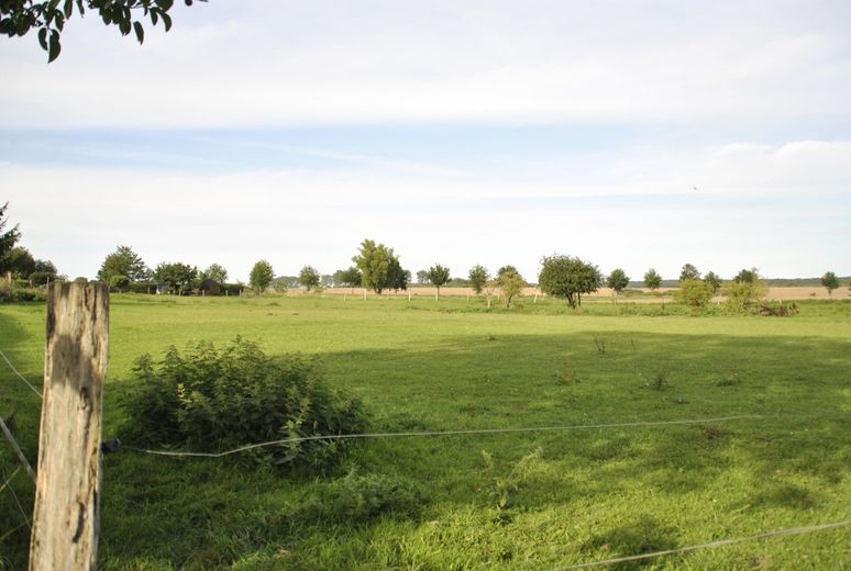 Marlow-OT, Reitanlage + Blockhütten in Ostseenähe – Foto 6