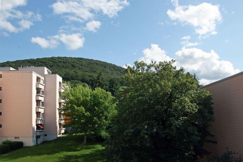 9% Bruttomietrendite – 42 m² Apartment – neue Küche & neues Bad – voll möbliert – Foto 16