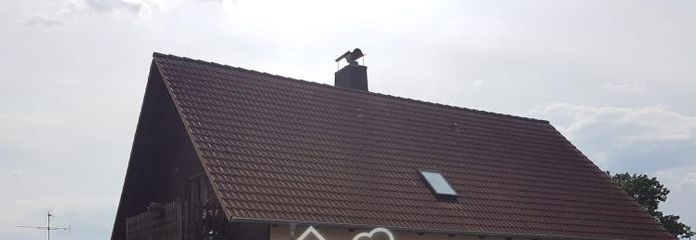 4-Zimmer-Wohnung in ruhiger Lage