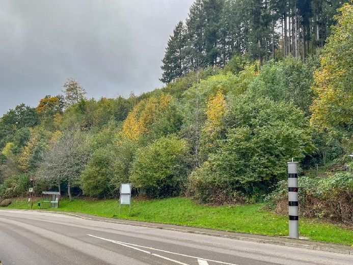Großzügiges Grundstück in Schenkenzell – फोटो 1