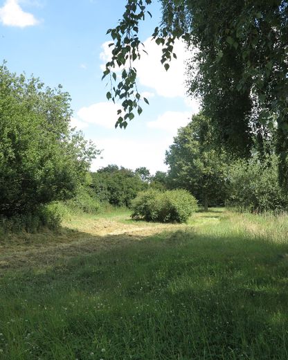 eines der letzten, erhaltenen SCHEUNENGUTSHÄUSER (mit 4-6 ha. Naturgrundstück) – Sitzgruppe in grüner Insel