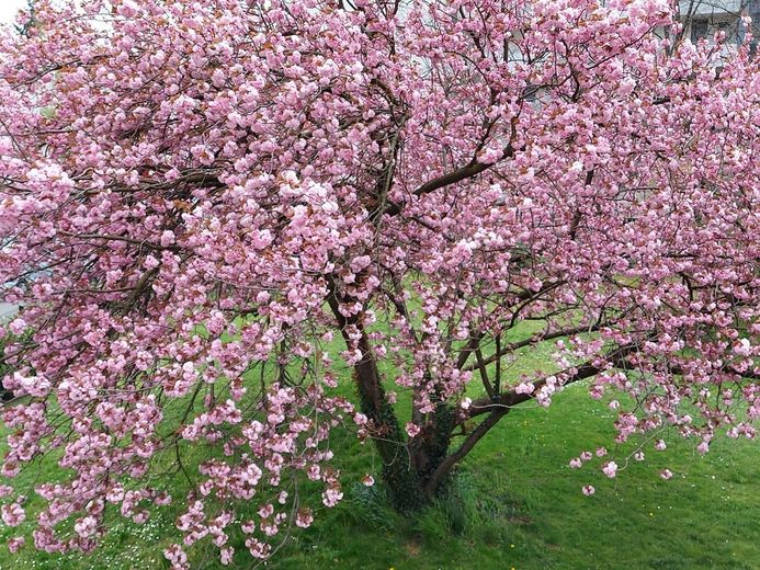 Blick aus dem Schlafzimmer1